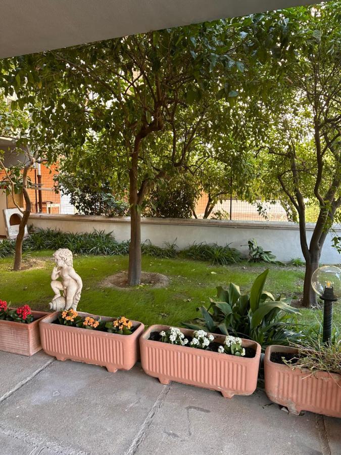 Ajoaolbia B&B Kültér fotó