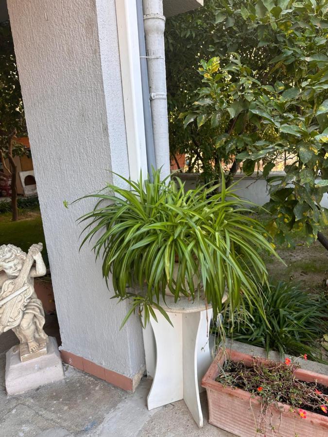 Ajoaolbia B&B Kültér fotó